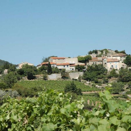 Montgaillard Cecile别墅 外观 照片