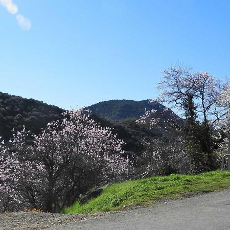 Montgaillard Cecile别墅 外观 照片